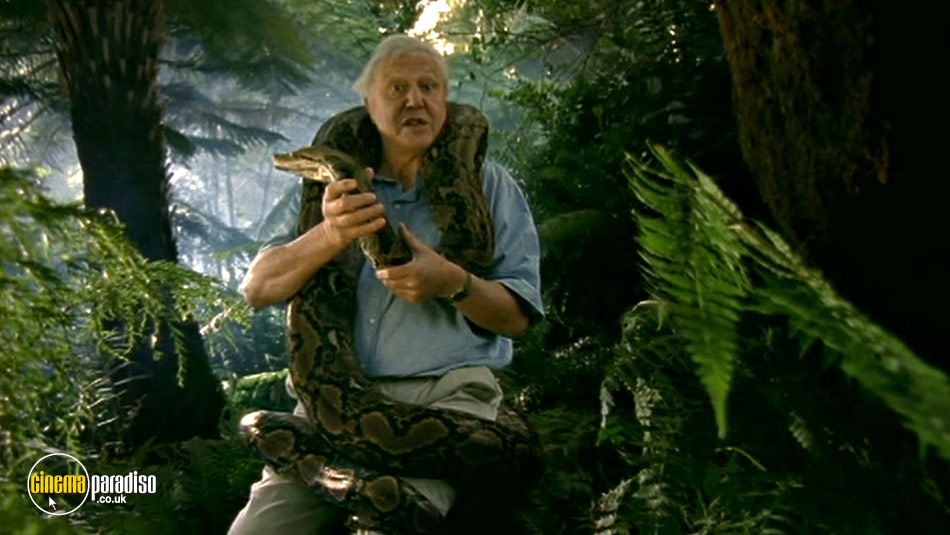 Wildlife Special: Serpent online DVD rental