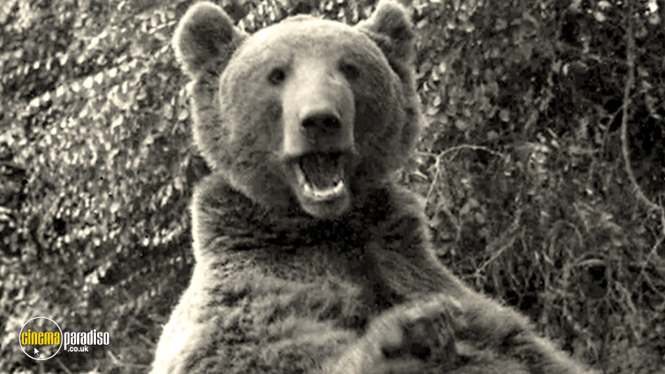 Wojtek: The Bear That Went to War online DVD rental
