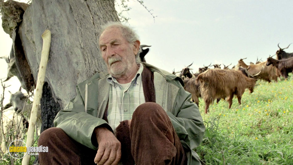 The Four Times (aka Le quattro volte) online DVD rental