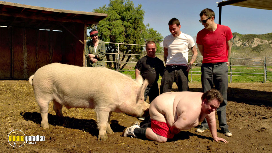 Jackass 3 online DVD rental