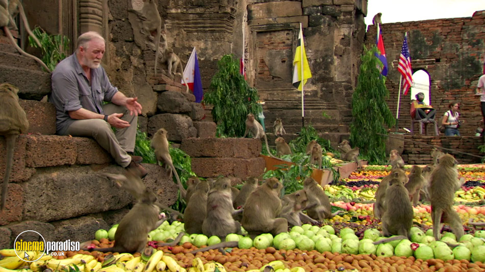 Monkey Planet online DVD rental