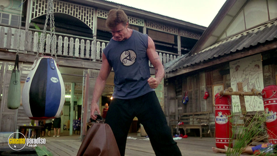 Force of Five online DVD rental