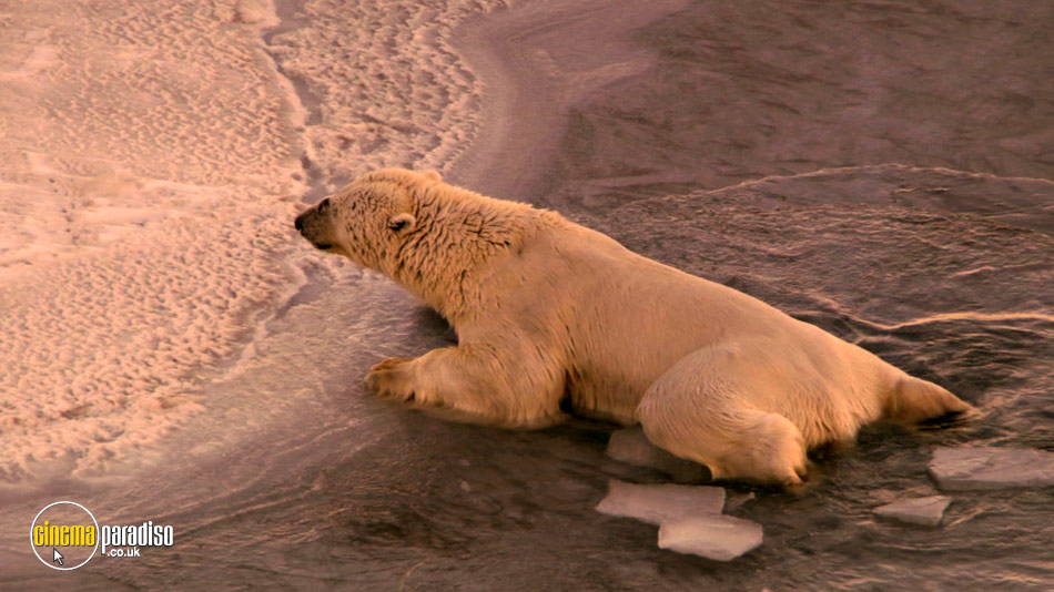 Nature's Great Events online DVD rental