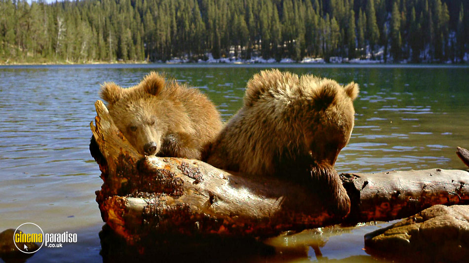 Imax: Bears online DVD rental