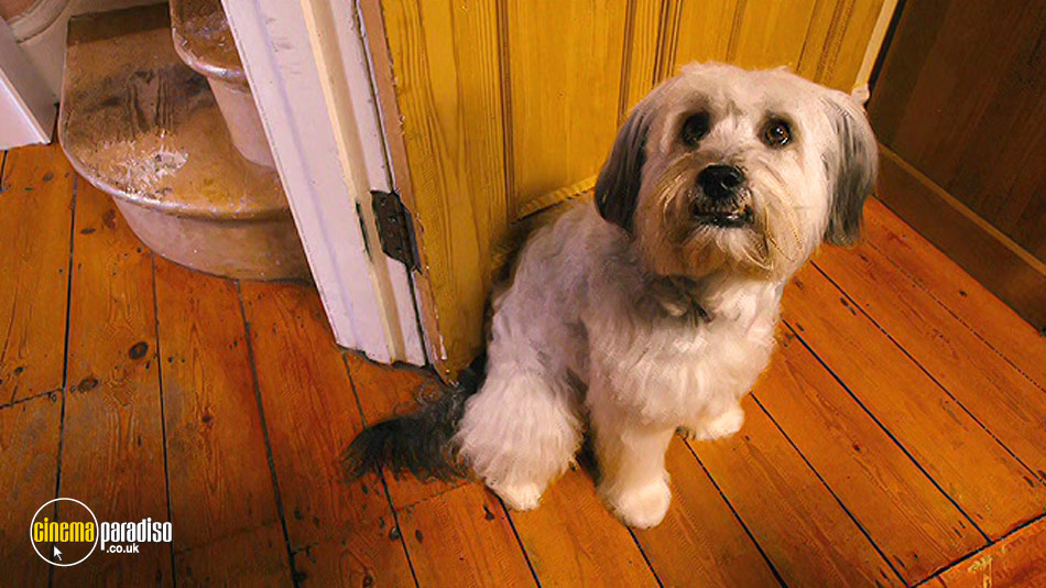 Pudsey the Dog: The Movie online DVD rental