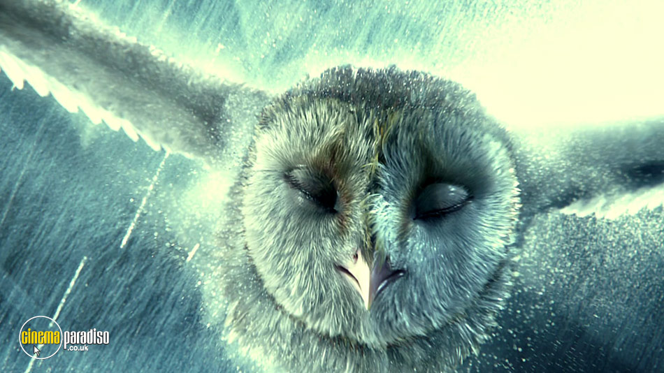 Legend of the Guardians: The Owls of Ga'Hoole online DVD rental