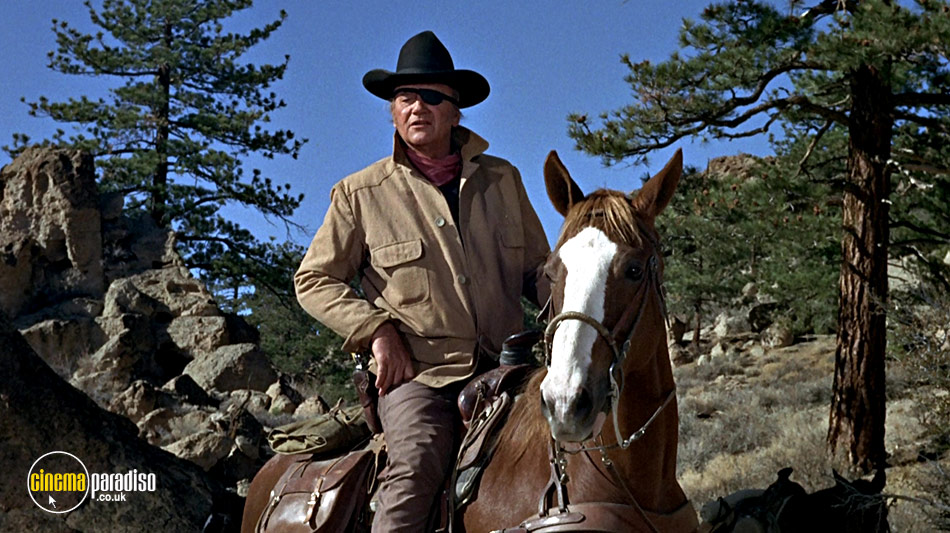 True Grit online DVD rental