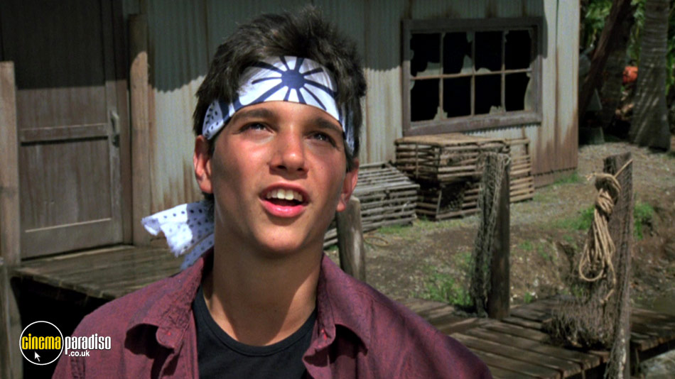 The Karate Kid 2 online DVD rental