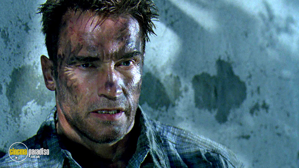 Collateral Damage online DVD rental