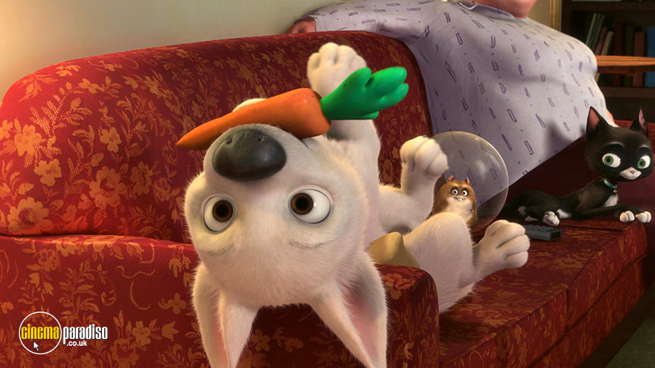 Rent Bolt (2008) film CinemaParadiso.co.uk