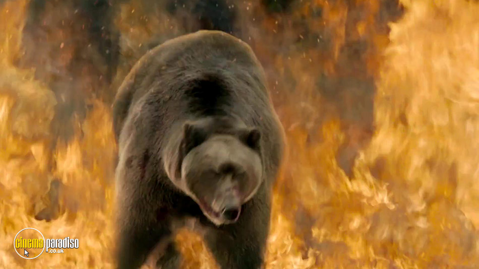 Into the Grizzly Maze online DVD rental