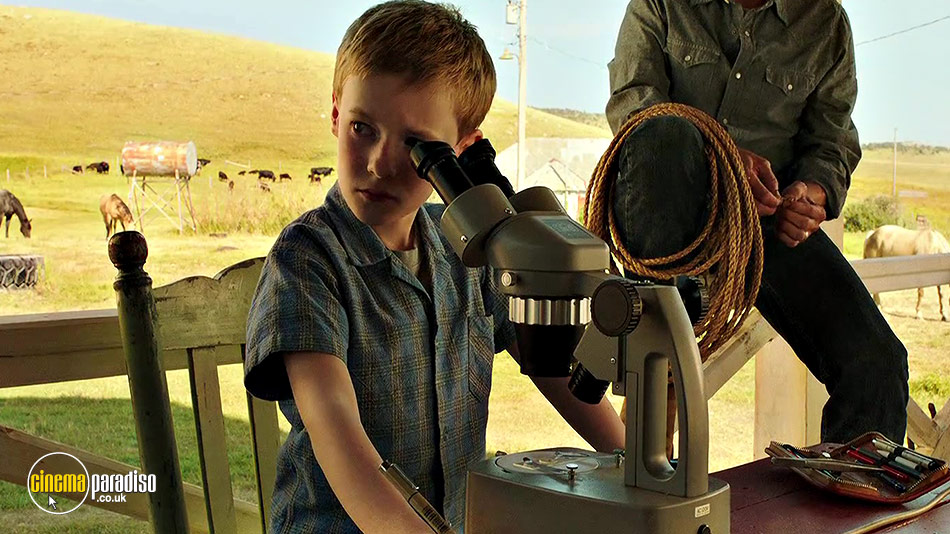 The Young and Prodigious T.S. Spivet (aka L'extravagant voyage du jeune et prodigieux T.S. Spivet) online DVD rental