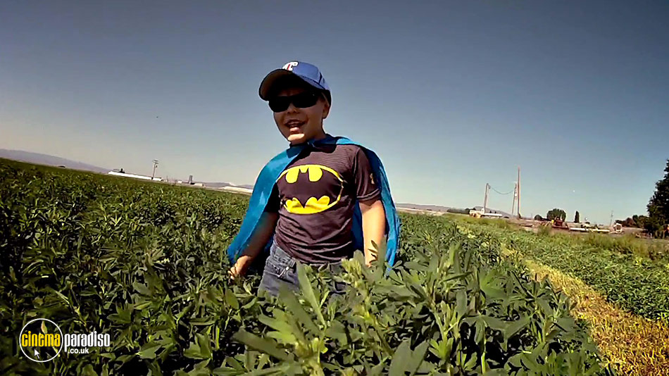 Batkid Begins online DVD rental