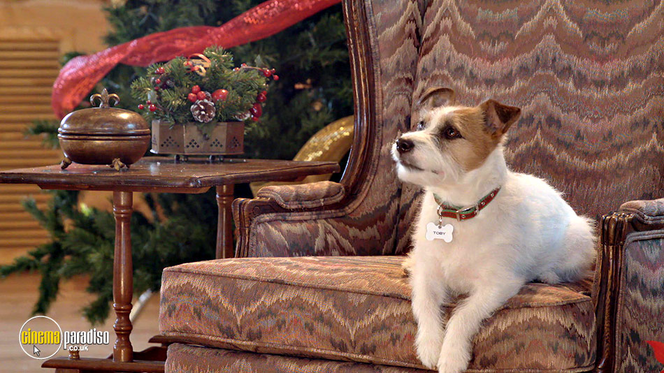 Merry Woofmas (aka Up on the Wooftop) online DVD rental