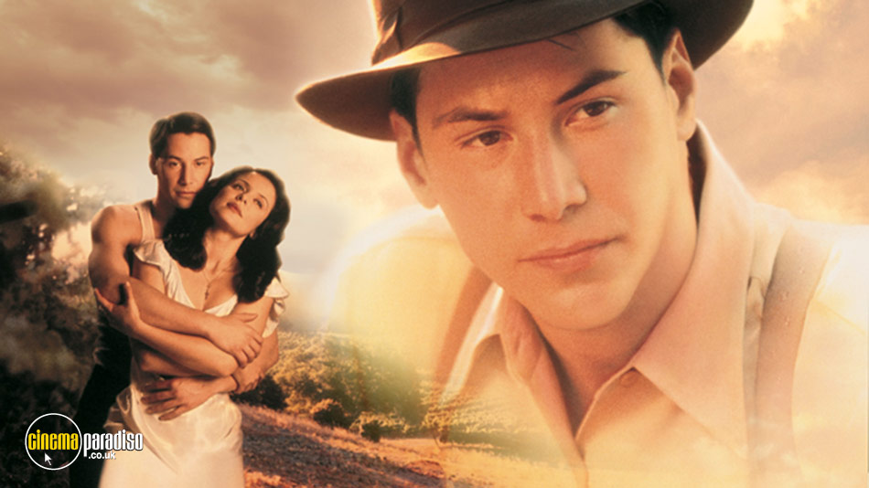 A Walk in the Clouds online DVD rental