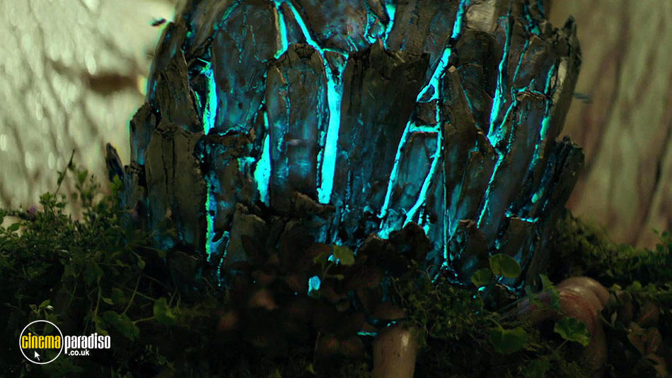 Terminus online DVD rental
