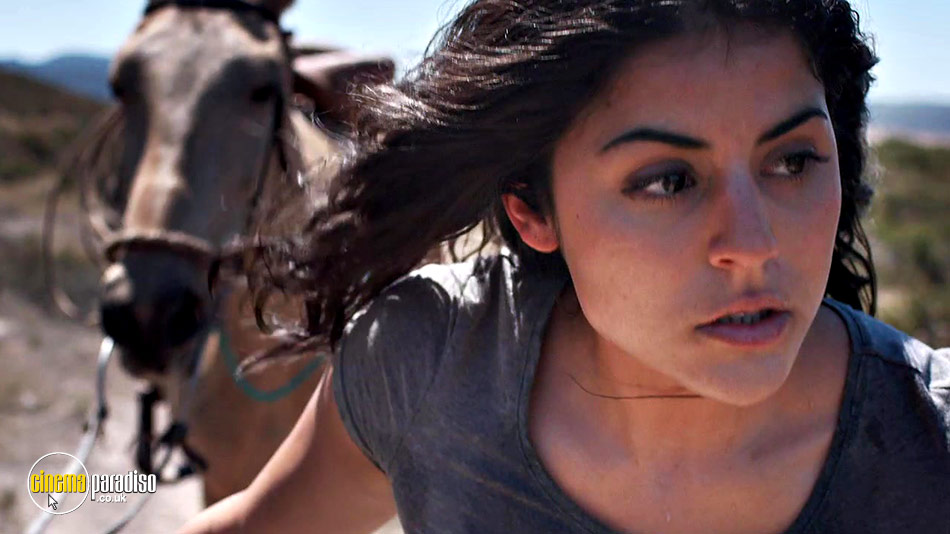 Hostile Border (aka Pocha: Manifest Destiny) online DVD rental