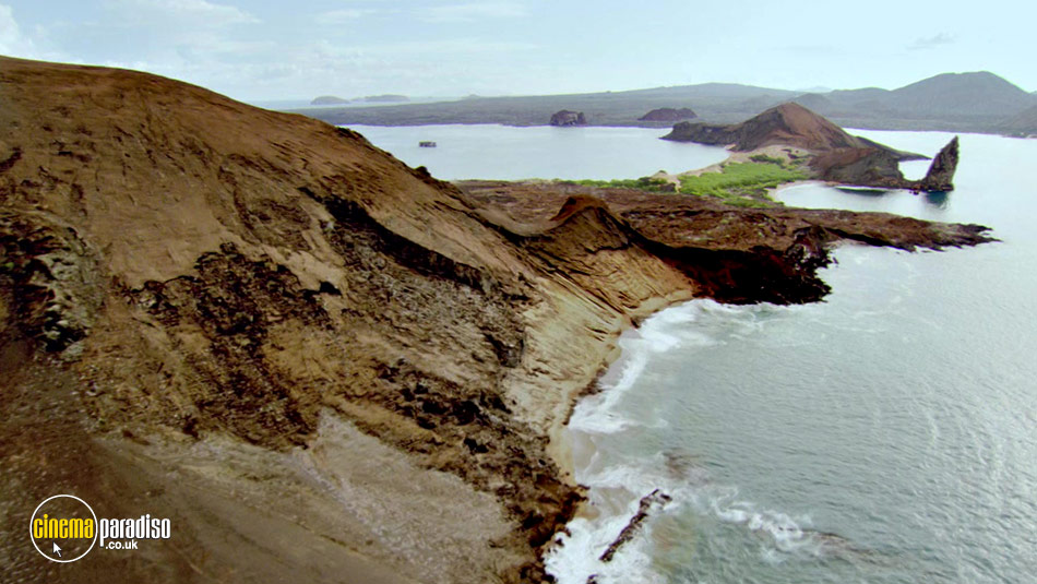 Galapagos online DVD rental