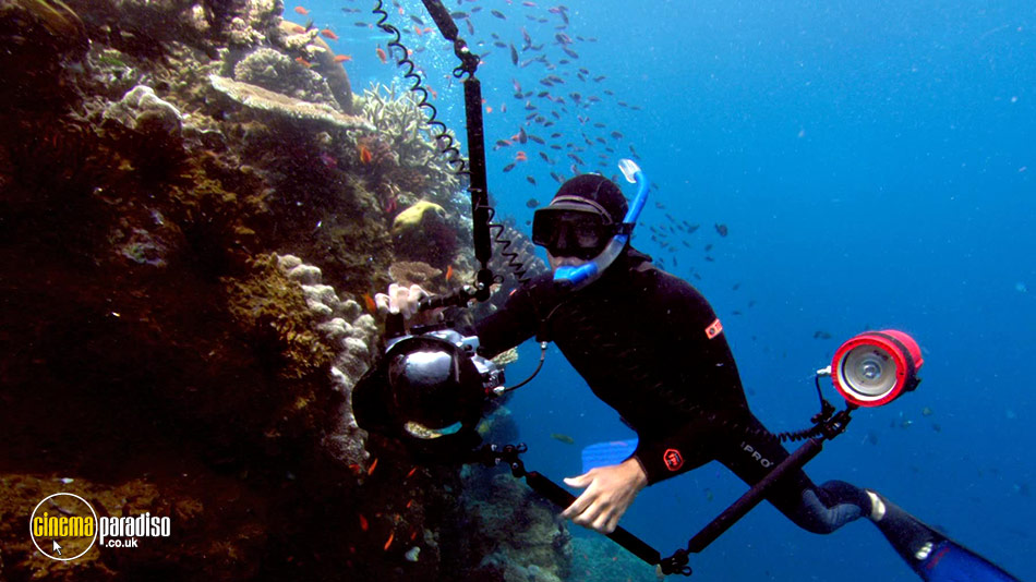 Sharkwater online DVD rental