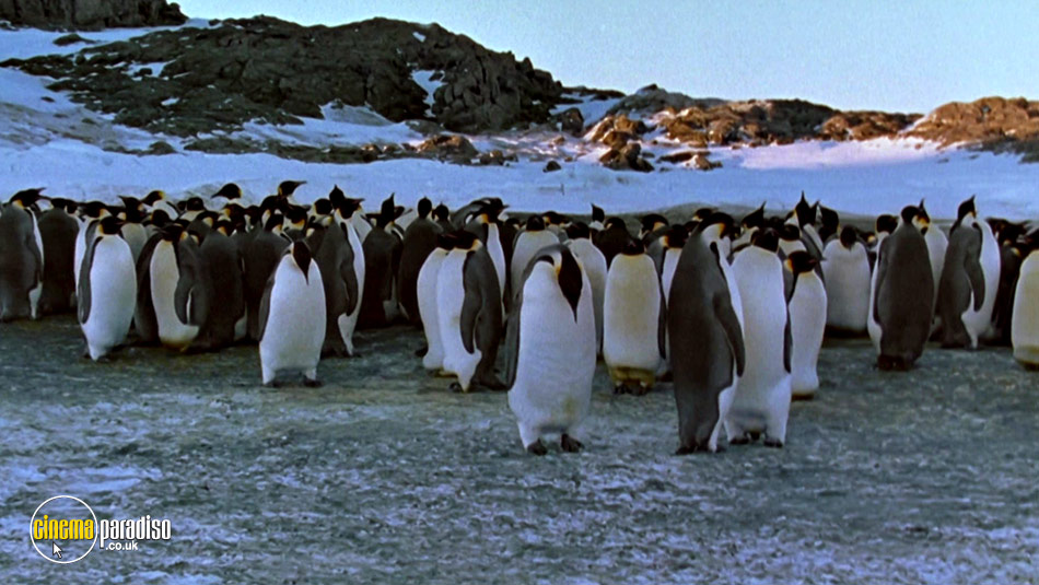 March of the Penguins (aka La Marche de l'empereur) online DVD rental