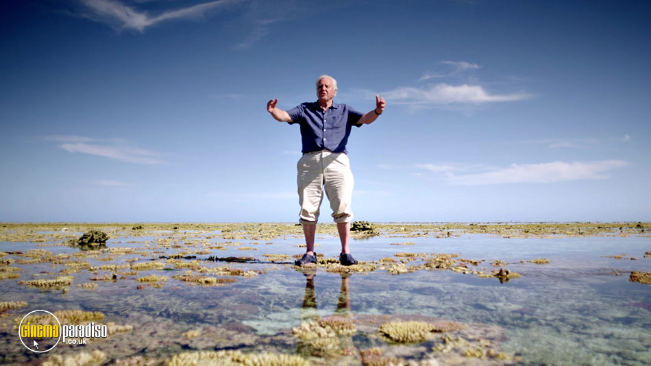 Great Barrier Reef with David Attenborough online DVD rental