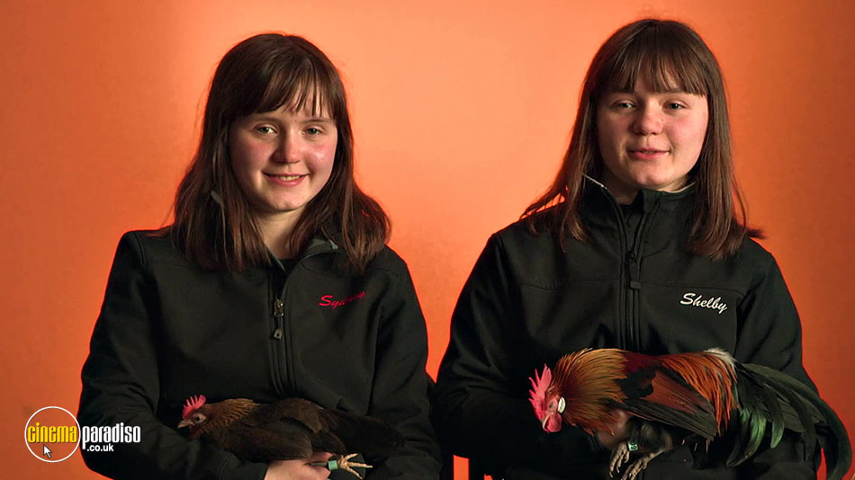 Chicken People online DVD rental