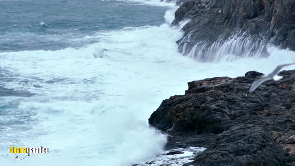 Fire at Sea (aka Fuocoammare) online DVD rental