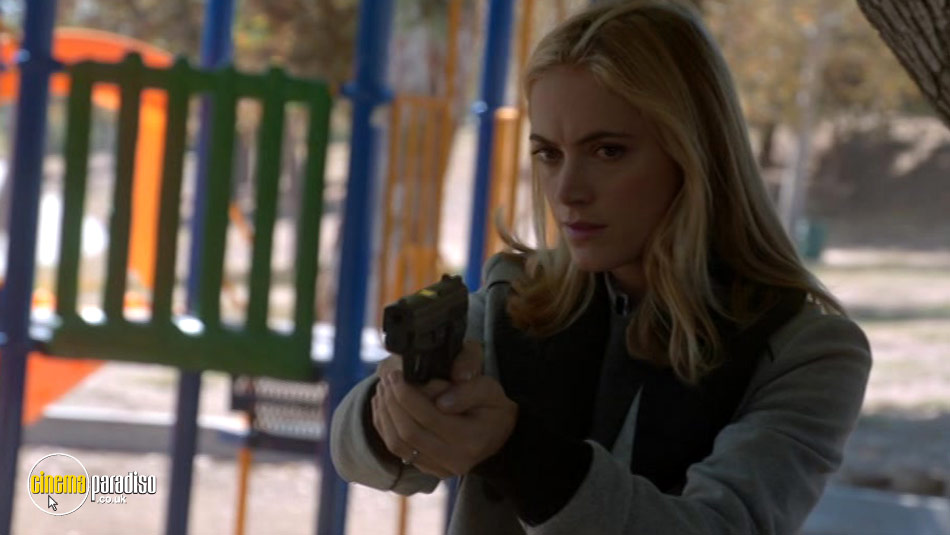 NCIS: Series 12 online DVD rental