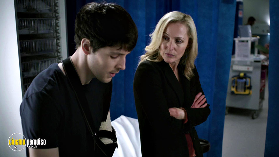 The Fall: Series 3 online DVD rental