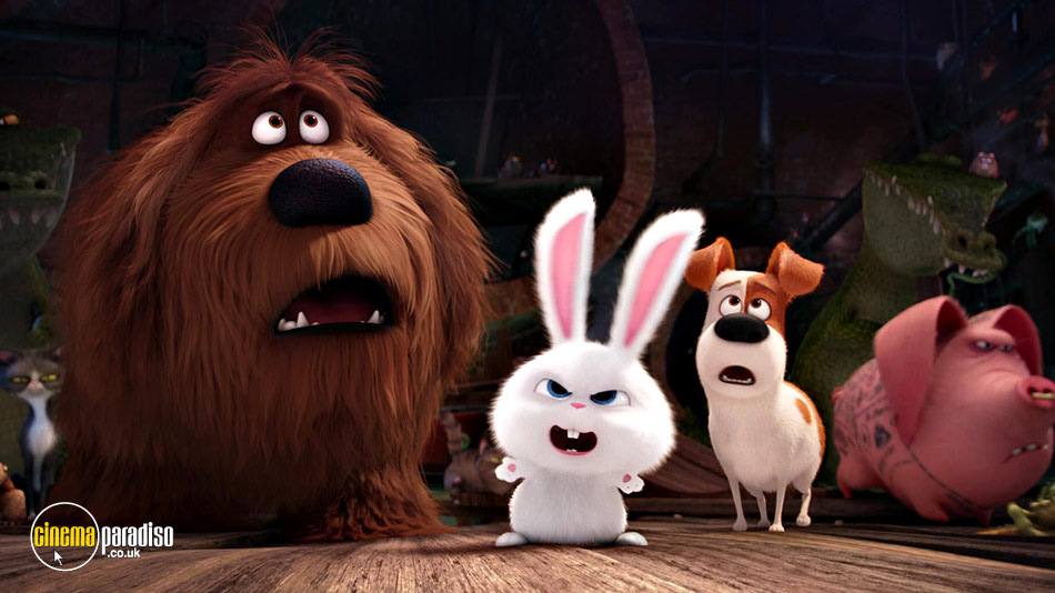 the secret life of pets movie 2016