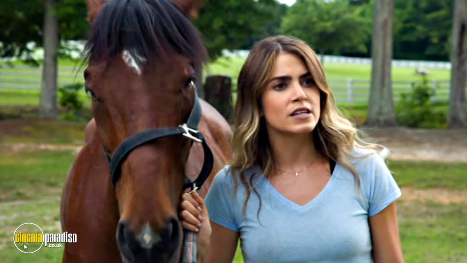 A Sunday Horse online DVD rental