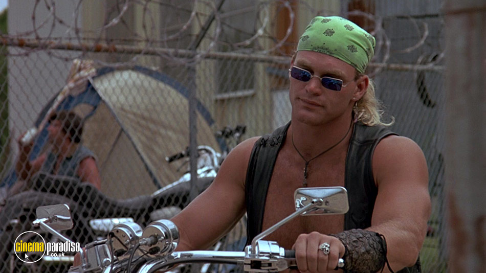 Stone Cold online DVD rental