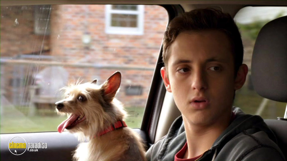 12 Dog Days Till Christmas (aka 12 Dog Days of Christmas) online DVD rental