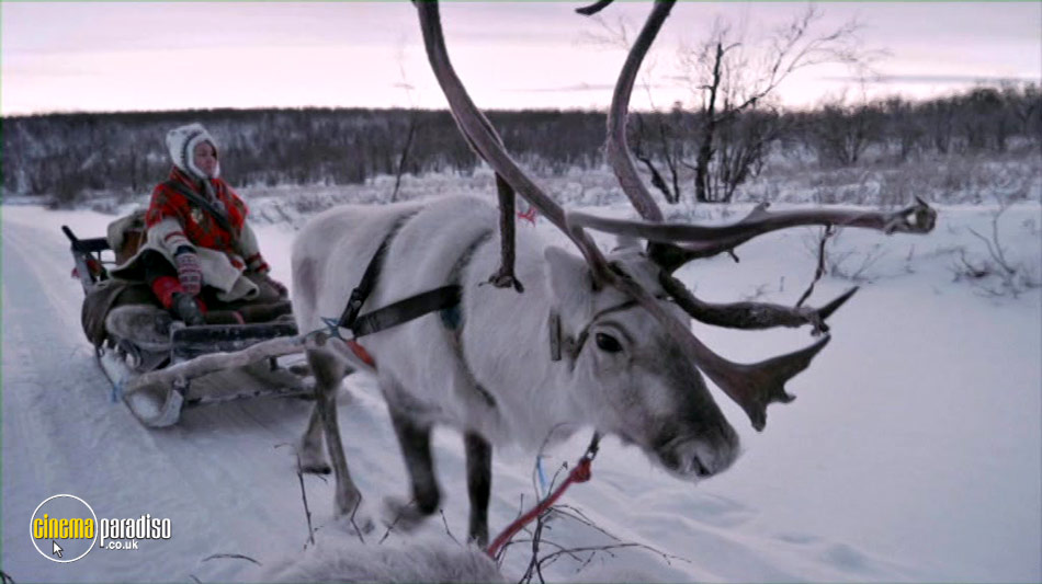 The Sleigh Ride (aka All Aboard! The Sleigh Ride) online DVD rental