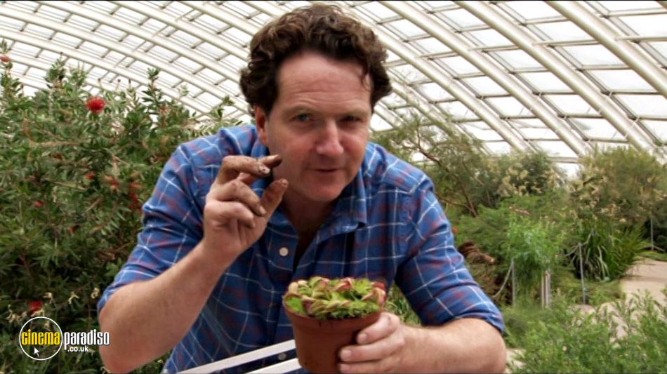 Great British Garden Revival (aka Great British Garden Revival: Trees with Joe Swift) online DVD rental