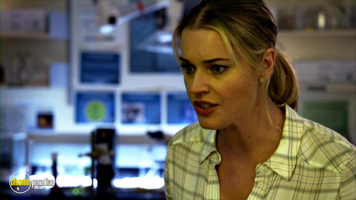 A still #44 from The Librarians: Series 2 (2015)