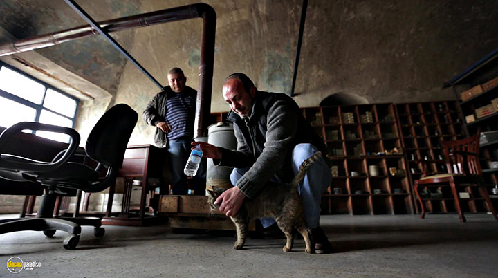 A still #9 from Kedi (2016)