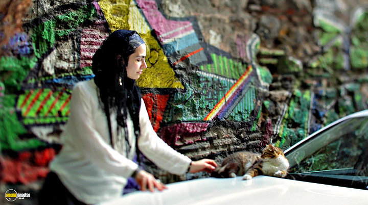 A still #18 from Kedi (2016)