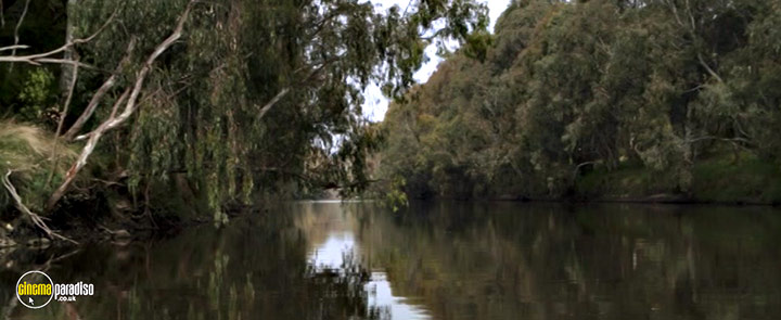 A still #13 from Downriver (2015)