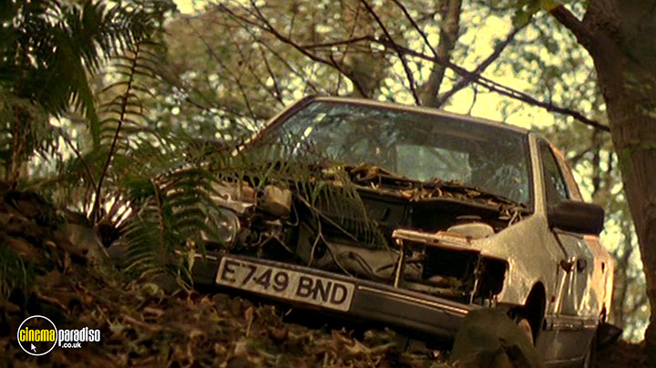 A still #44 from Stig of the Dump (2002)