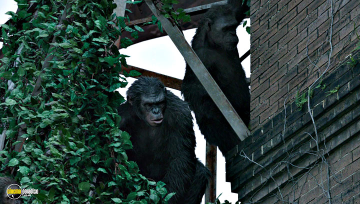 A still #28 from Dawn of the Planet of the Apes (2014)