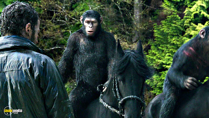A still #26 from Dawn of the Planet of the Apes (2014)