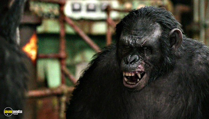 A still #22 from Dawn of the Planet of the Apes (2014)