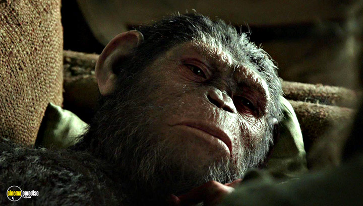 A still #19 from Dawn of the Planet of the Apes (2014)