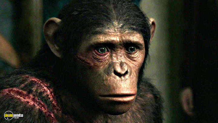 A still #18 from Dawn of the Planet of the Apes (2014)