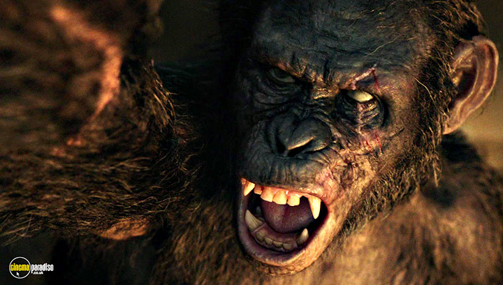 A still #15 from Dawn of the Planet of the Apes (2014)