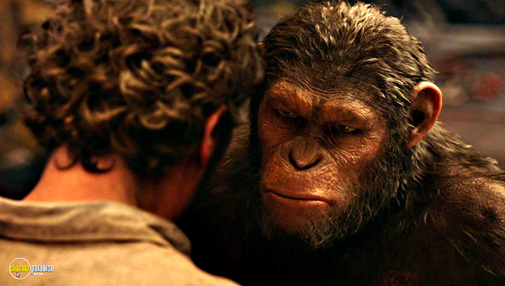 A still #14 from Dawn of the Planet of the Apes (2014)