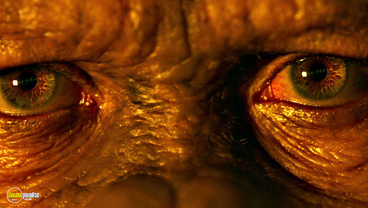 A still #12 from Dawn of the Planet of the Apes (2014)