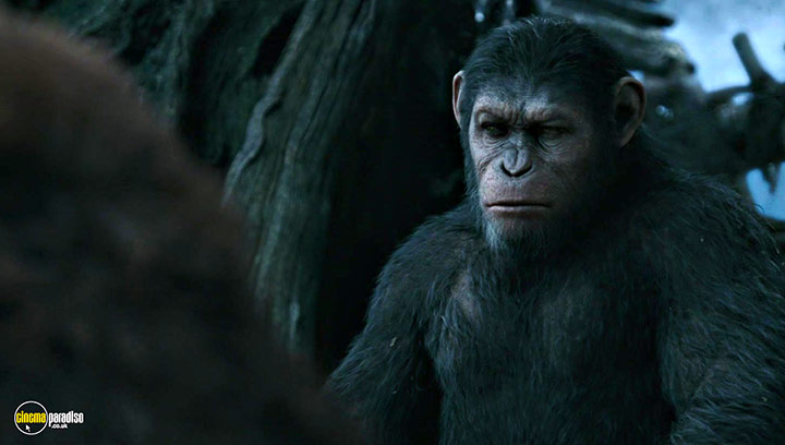 A still #11 from Dawn of the Planet of the Apes (2014)
