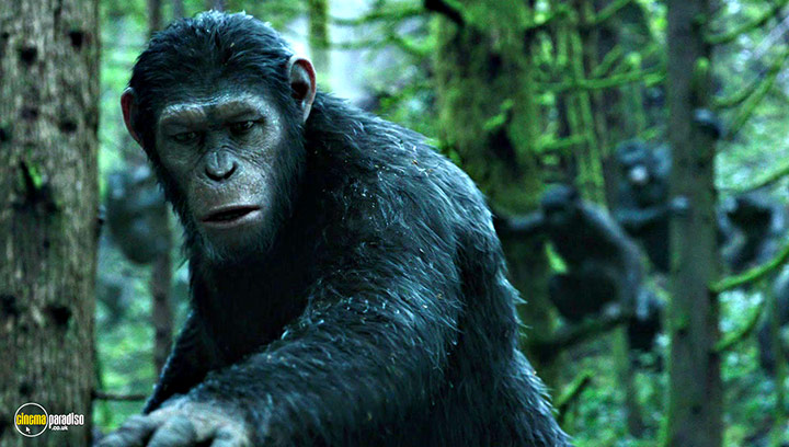 A still #5 from Dawn of the Planet of the Apes (2014)